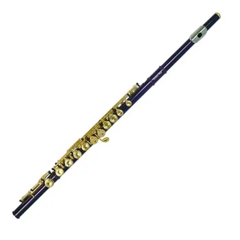 2023 Новейшая горячая распродажа Принимаем OEM 16 отверстий C мельхиоровой фиолетовой флейтой JYFL201PU
