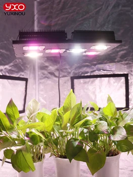 300 Вт COB LED Grow Light Полный спектр DOB LED Лампа для выращивания растений Фитолампа Для комнатного гроубокса цветов овощей саженцев теплицы